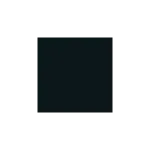 Record SVG Icon